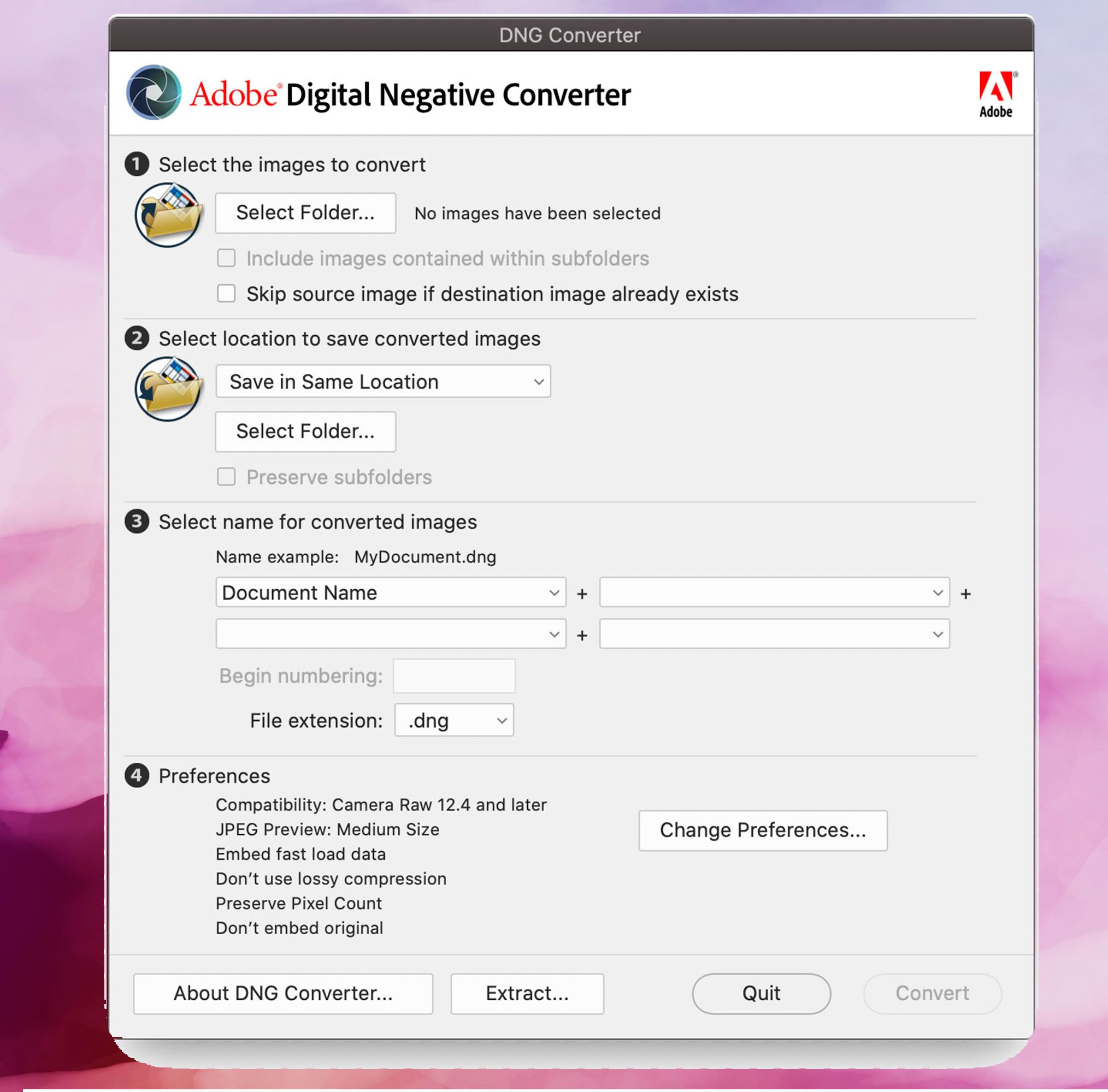 Schermweergave Adobe DNG Converter, DNG-afbeeldingen converteren naar JPEG..