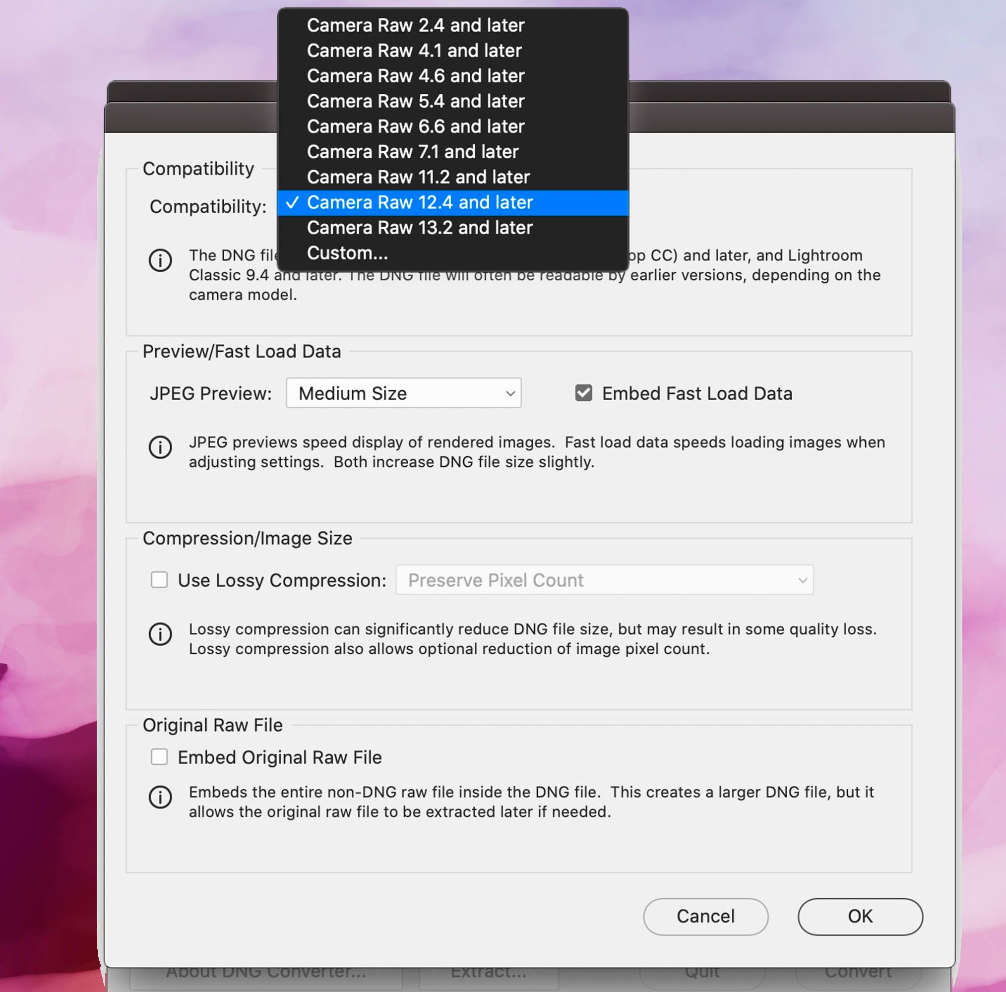 Schermweergave Adobe DNG Converter, Compatibiliteitsvoorkeuren..