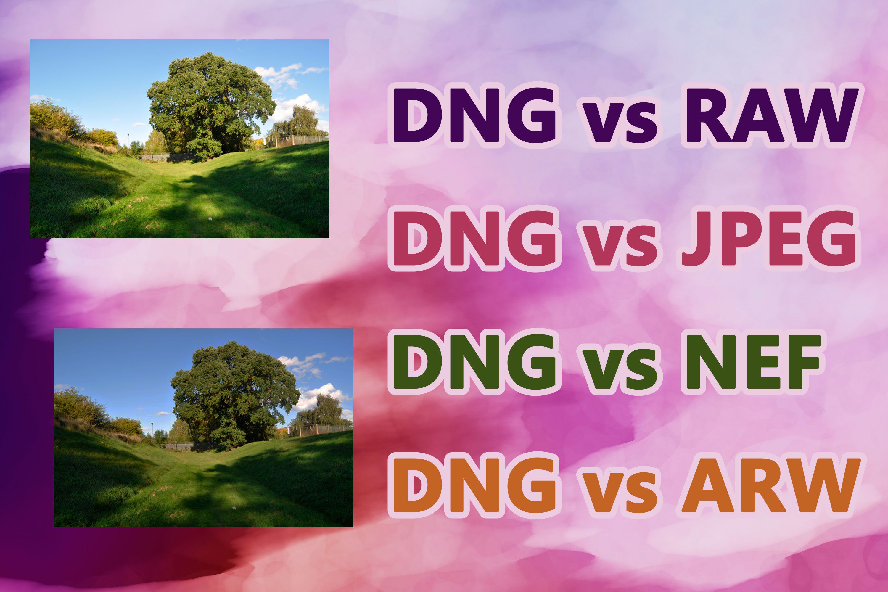 DNG vs RAW-formaten..
