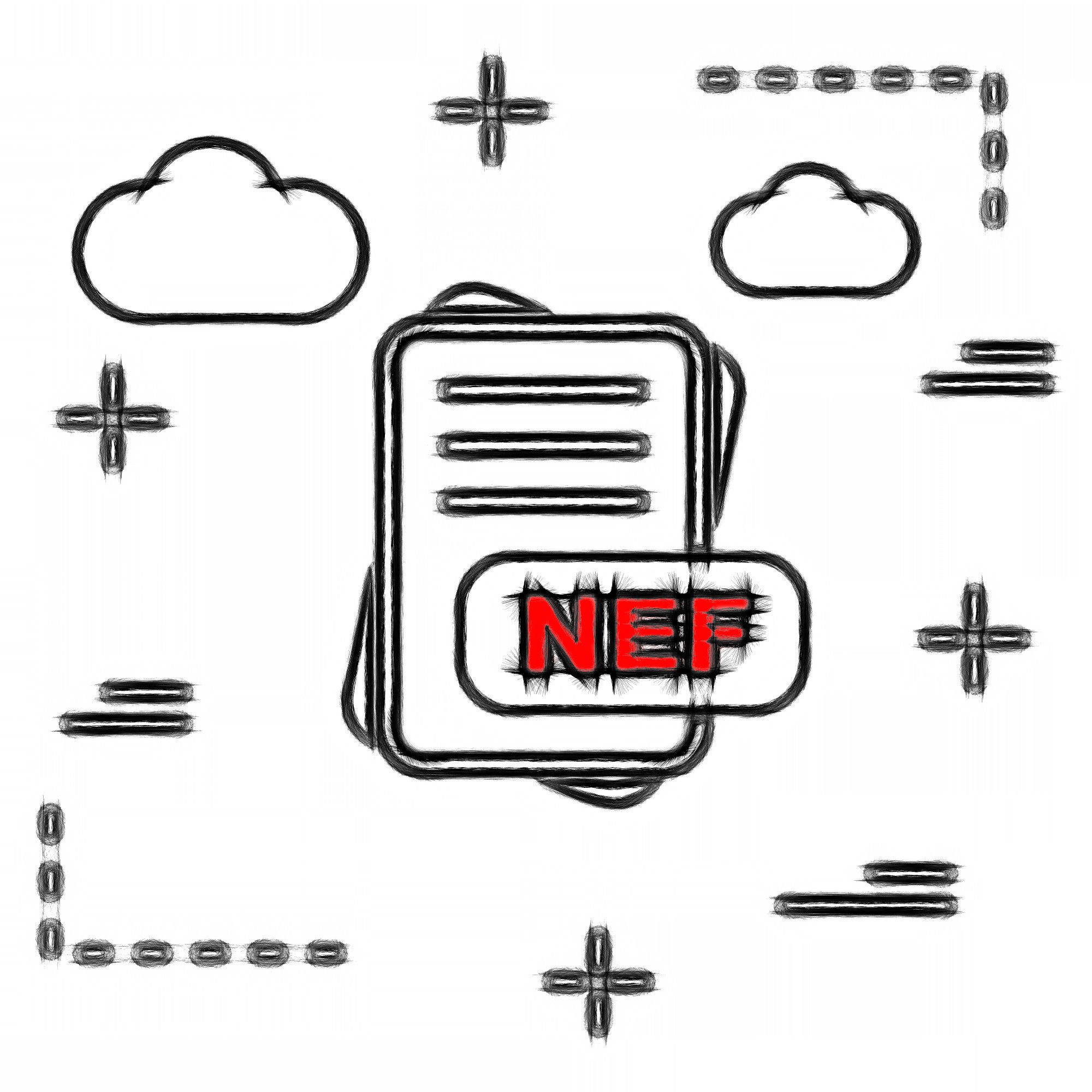 NEF-bestandsformaat..