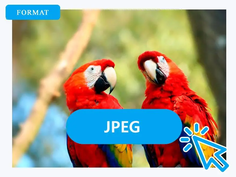 Selecteer JPG als uitvoerformaat.