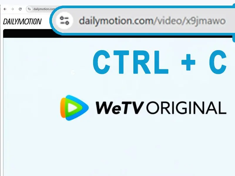Kopieer & Plak de video-URL van Dailymotion.