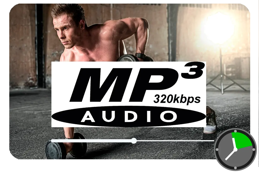 Selecteer MP3 als de Output.