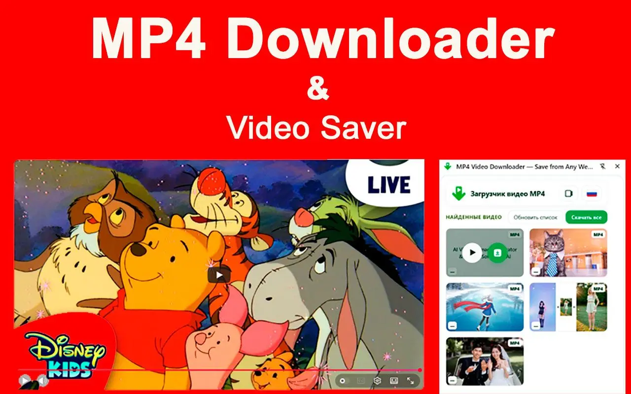 MP4 Downloader & Chrome extensie limieten.