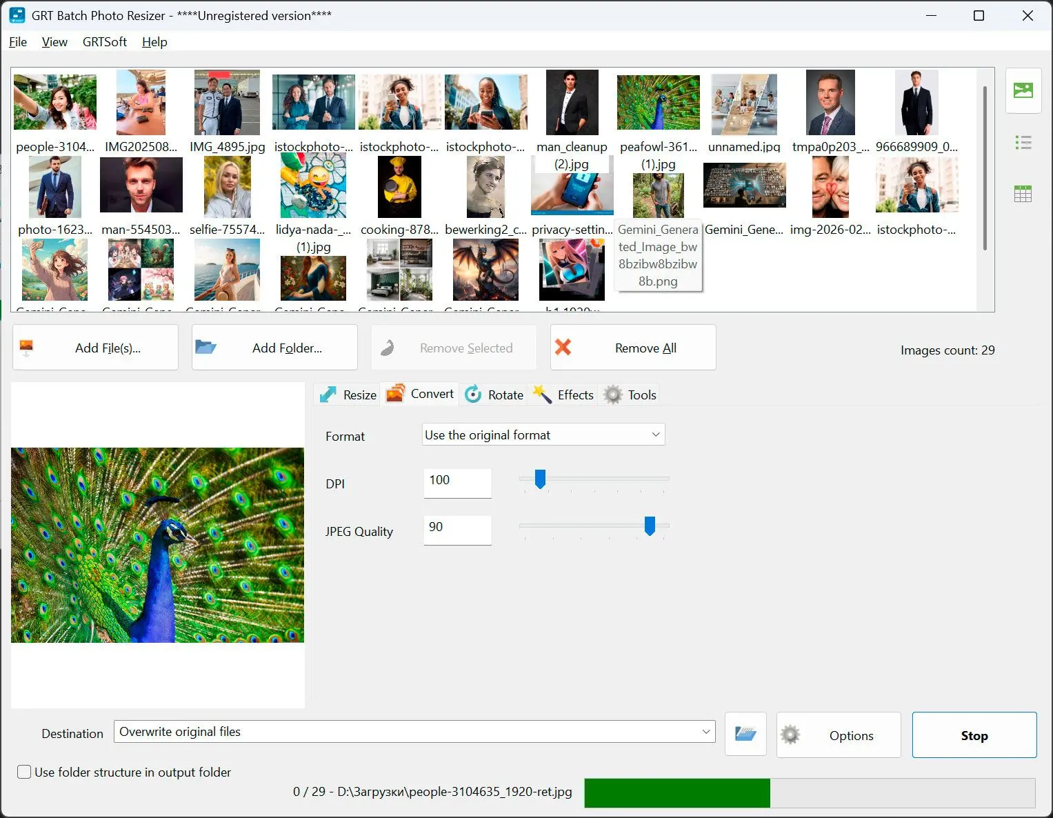 Start & Controleer de Uitvoermap.