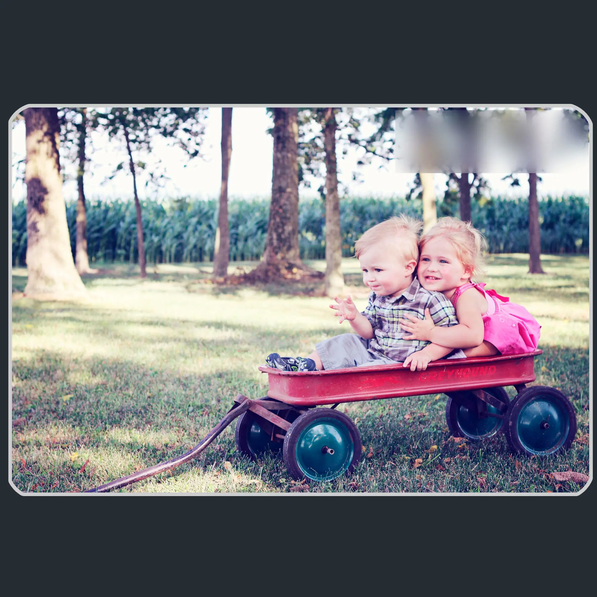 Blur-Free Watermark Removal Binnenkort Beschikbaar.