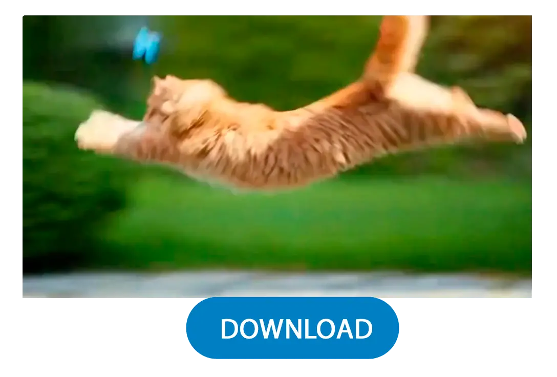 Genereren & Downloaden.