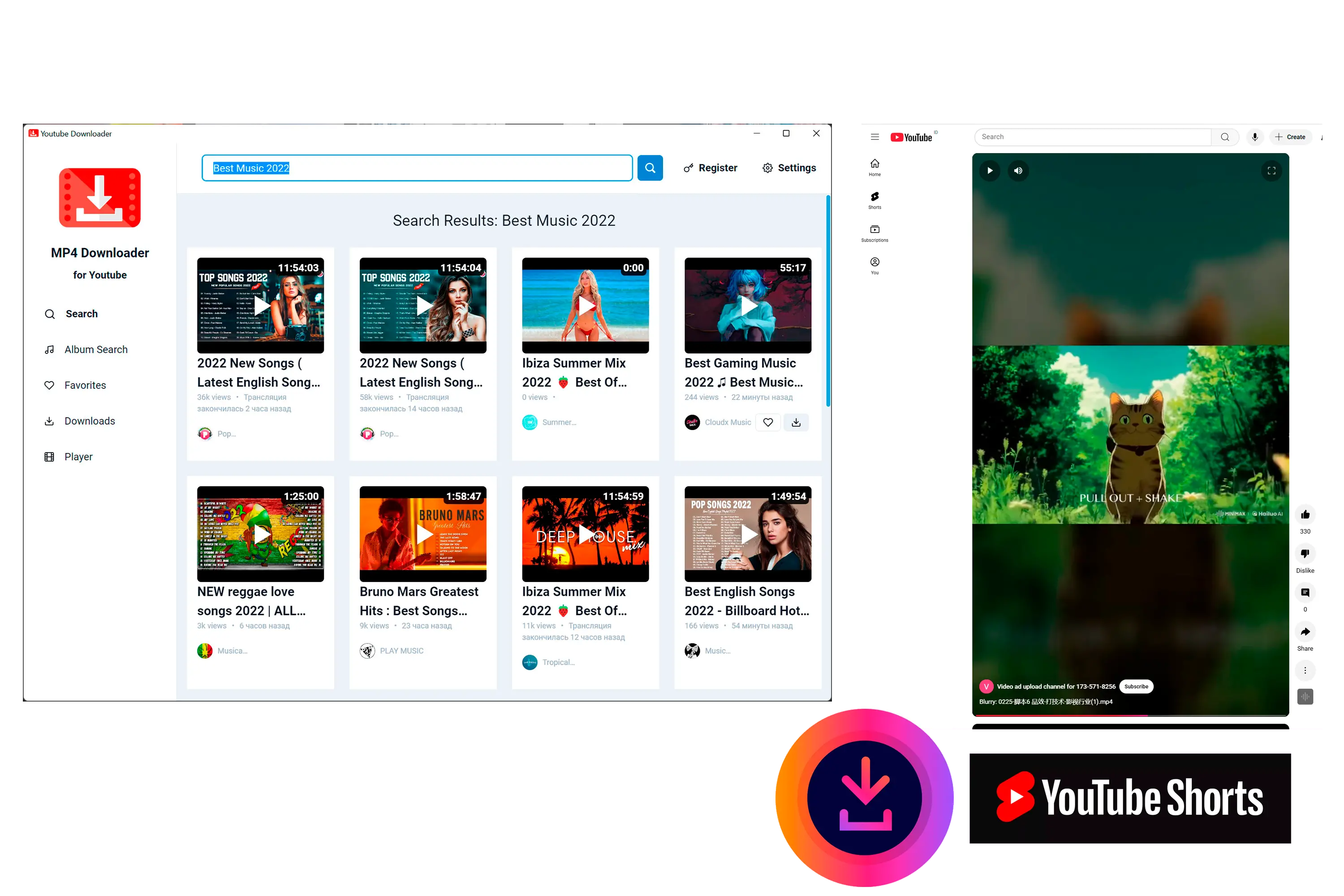 MP4 Downloader for Youtube Schermafbeelding.