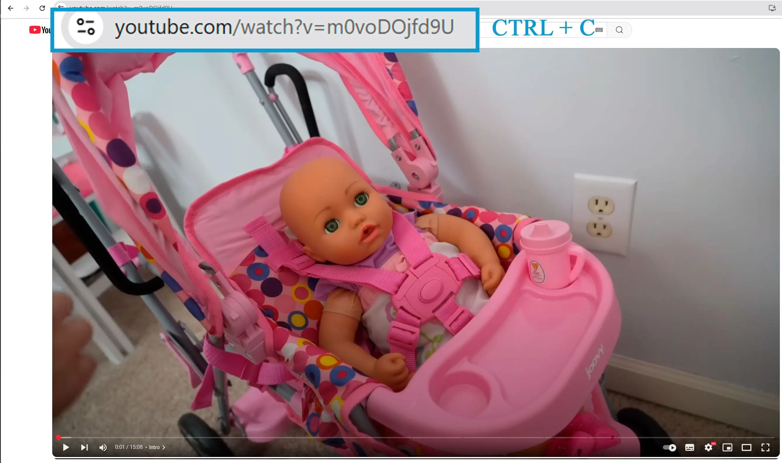 Kopieer Uw YouTube Video URL.